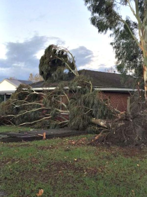 We can help you recover from storm damage with our recycled roof tiles We can help you recover from storm damage with our recycled roof tiles